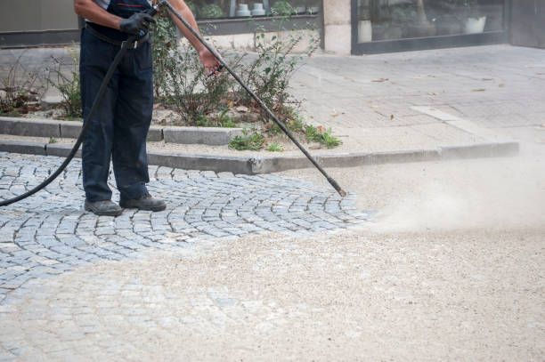 Best Animal Enclosure Cleaning  in Waterville, NY
